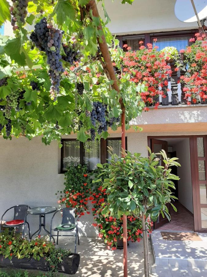 Apartment Vir Karlovac Buitenkant foto